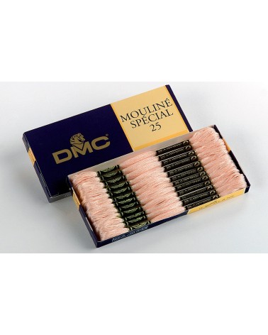 D117-154 MOULINE' DMC 117MC x12 mat.