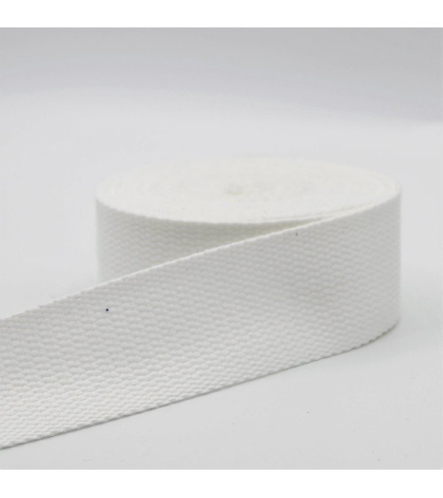 1660530-001 FETTUCCIA 30mm 80CO-12VI-8PL