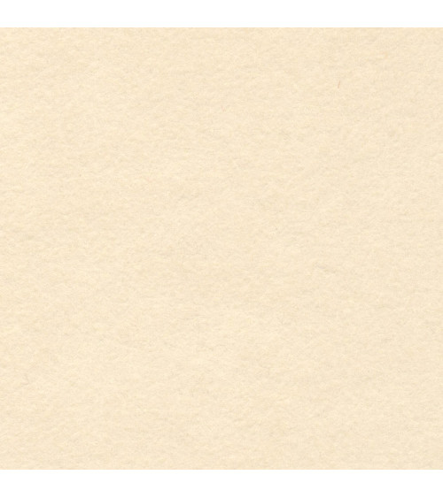 S002-1109 TOY Wool Felt 35% Lana cm90