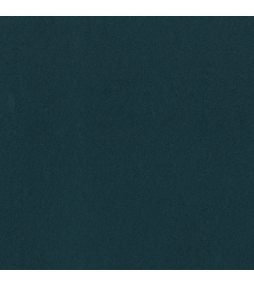 S001-0557 WCF Wool Felt 20% Lana cm90