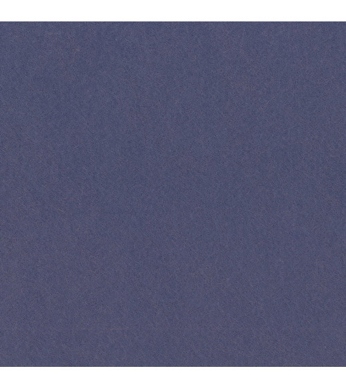 S001-0582 WCF Wool Felt 20% Lana cm90