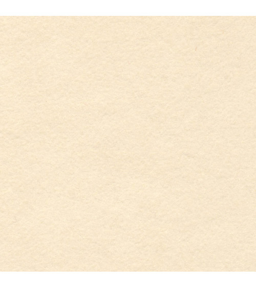 S002-1109 TOY Wool Felt 35% Lana cm90